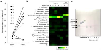 2′-Fucosyllactose Increases the Abundance of Blautia in the Presence of Extracellular Fucosidase-Possessing Bacteria